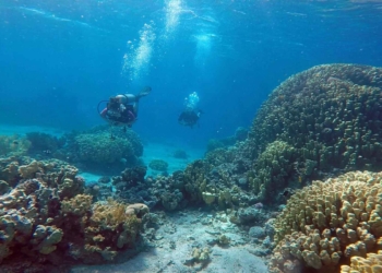 Saranda Scuba Diving